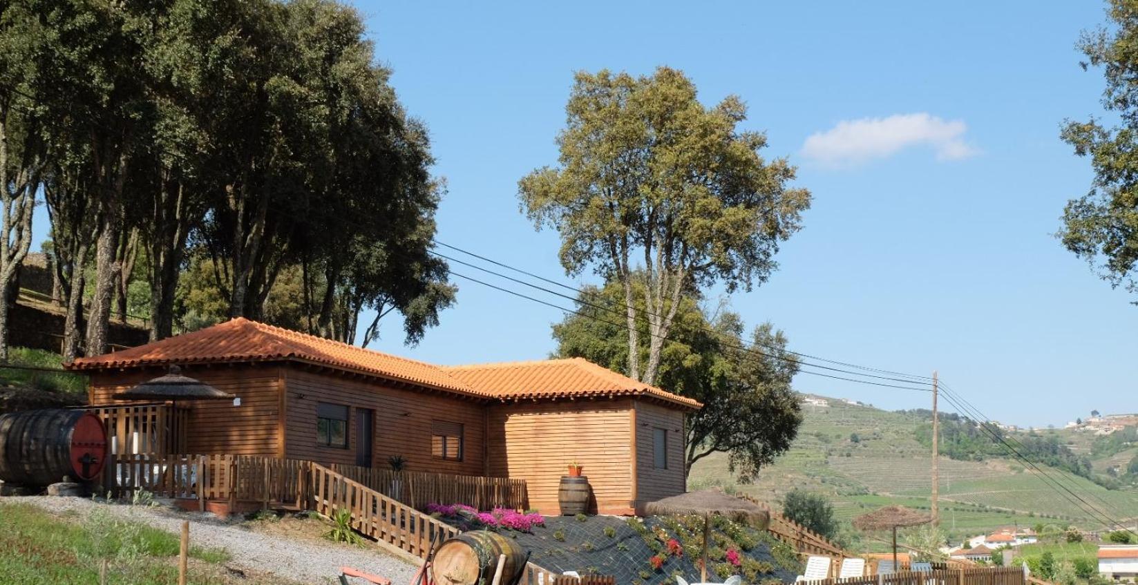 Quinta Da Bandeira - Casa De Ferias No Douro Villa Martir Ngoại thất bức ảnh